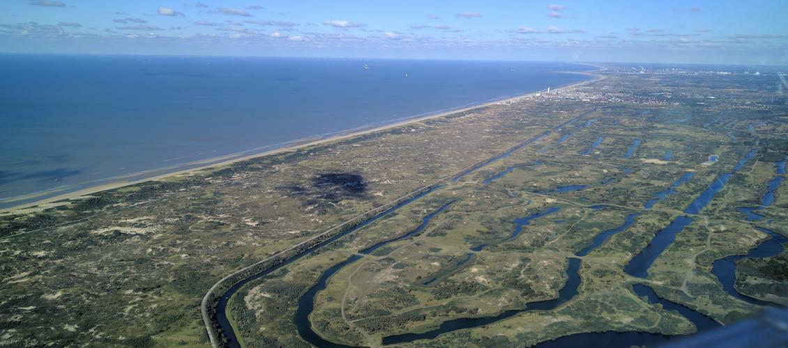 Waterleidingduinen Langeveld